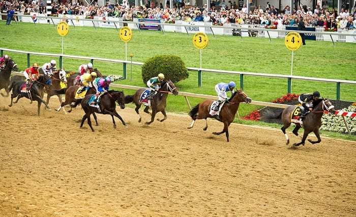 Preakness Stakes odds returned Oxbow at 15.4 in 2013