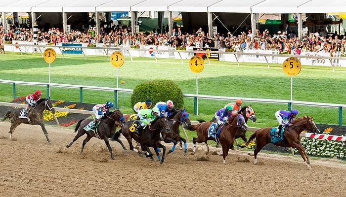 Preakness Stakes payouts in 2014 went on California Chrome