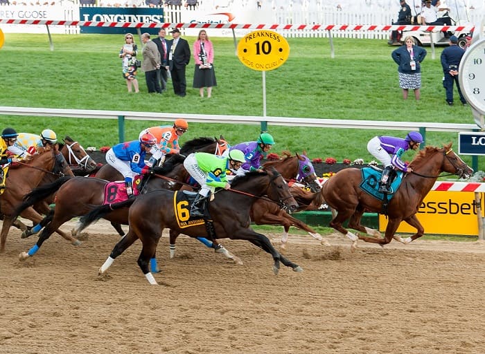 Preakness Stakes runners