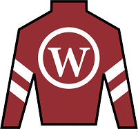 Clever Again silks