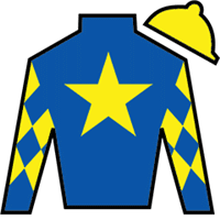 Goal Oriented silks