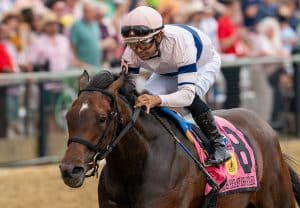 Dogwood Stakes 2025 preview features Miss Preakness winner Echo Sound